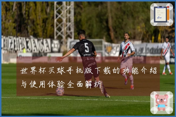 世界杯买球手机版下载的功能介绍与使用体验全面解析