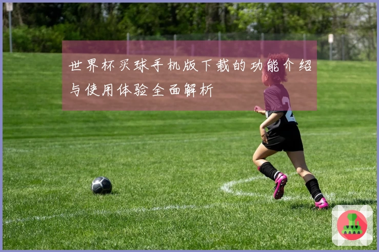 世界杯买球手机版下载的功能介绍与使用体验全面解析