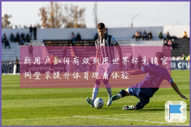 新用户如何有效利用世界杯竞猜官网登录提升体育观看体验